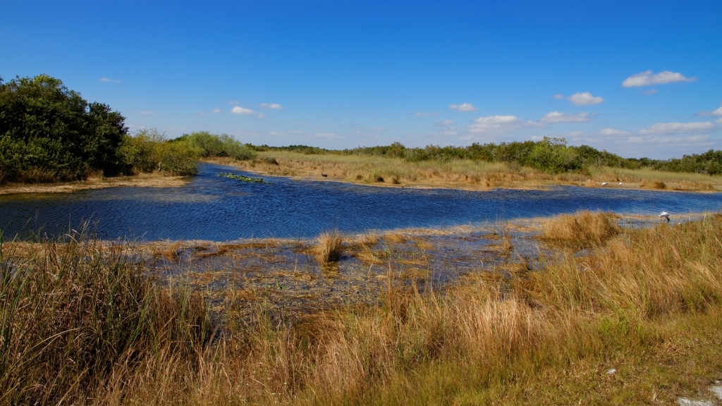 02 - Everglade NP (44).jpg